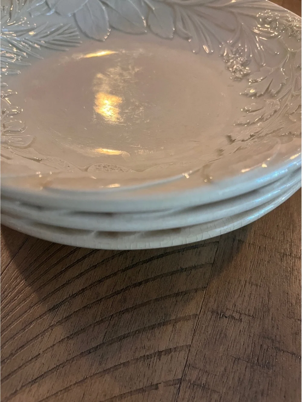 Williams-Sonoma Herb 9” Pasta Bowls Set of 3 Embossed Botanical Made in Italy